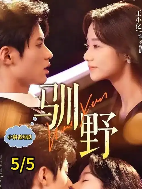 沉默的回声刑侦电视剧全集在线观看